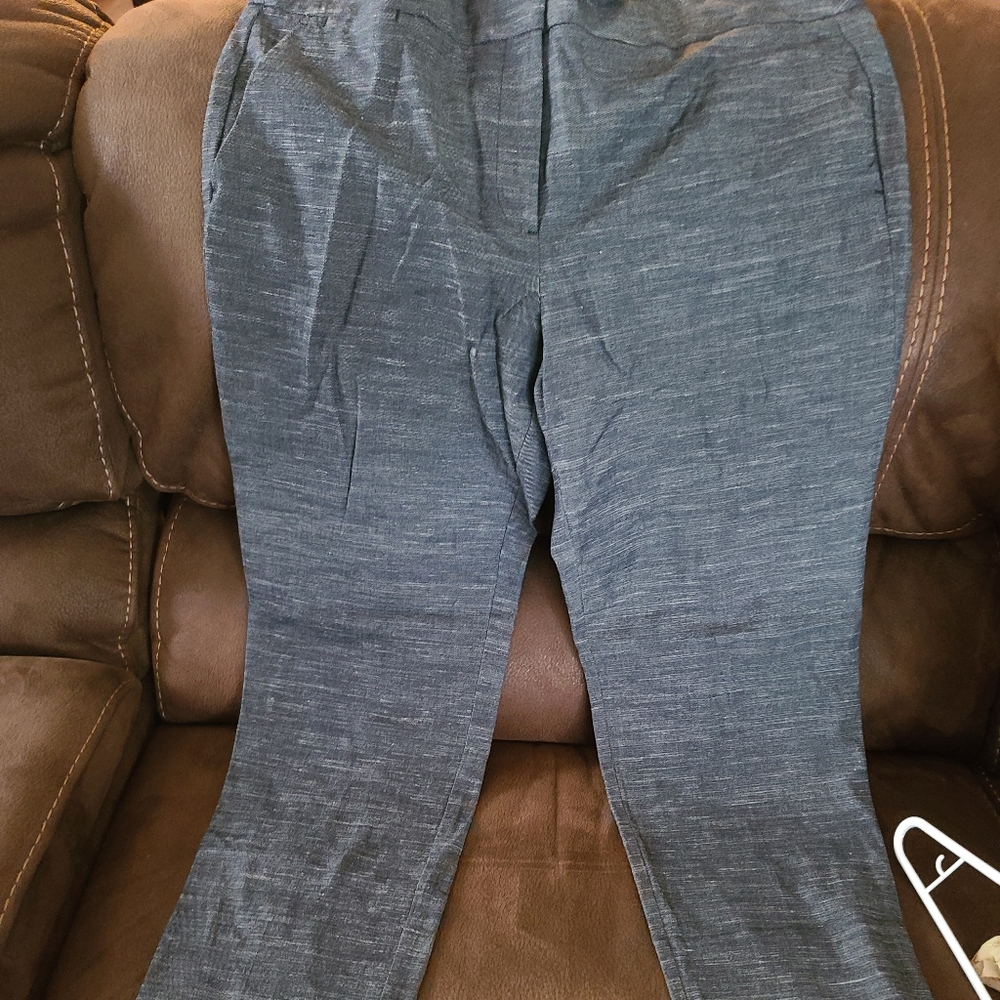 Loft Slacks